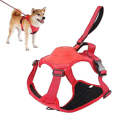 All in one: pet Harness and Automatic Retractable Leash Kit