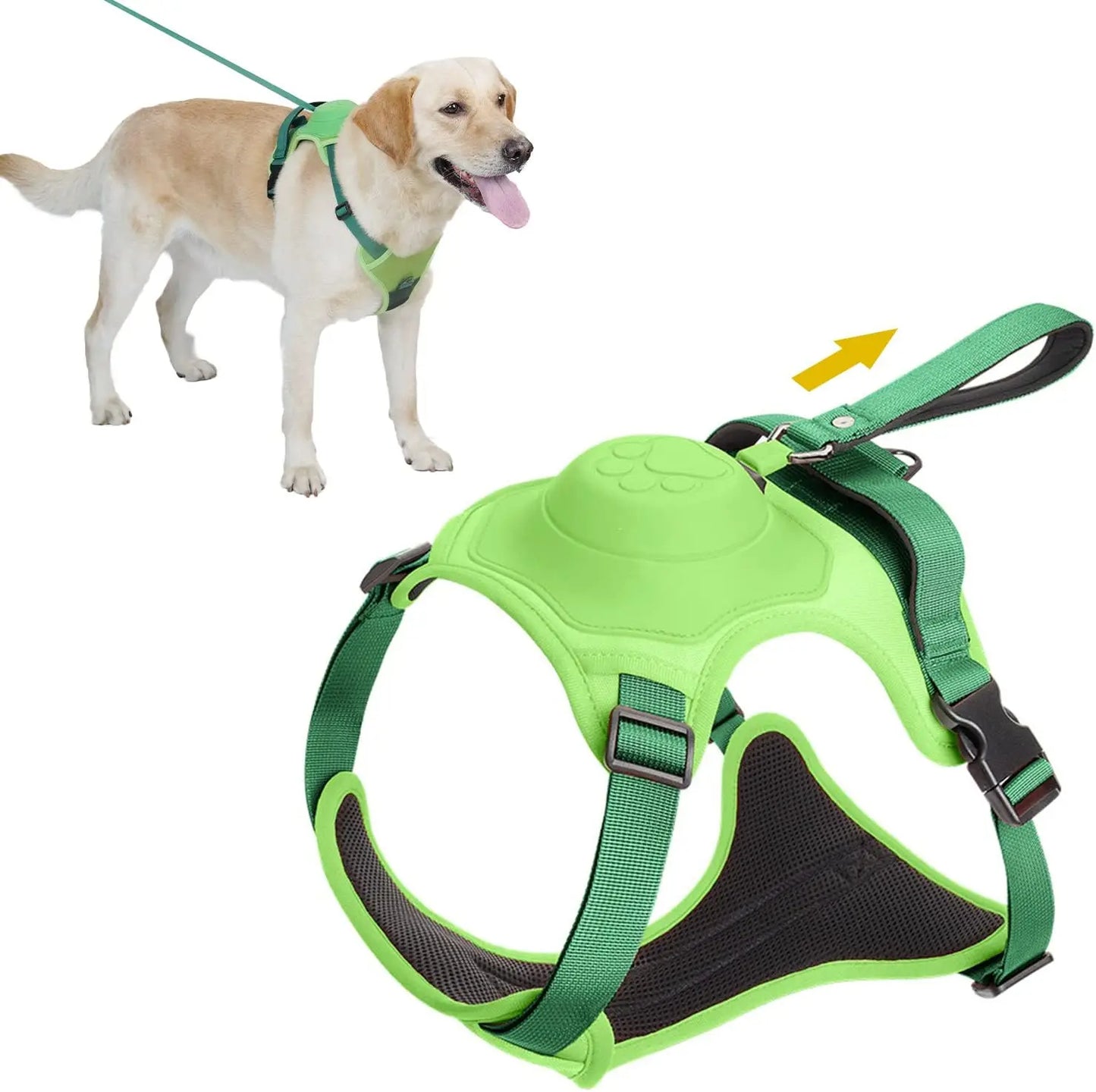 All in one: pet Harness and Automatic Retractable Leash Kit