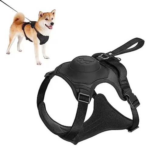 All in one: pet Harness and Automatic Retractable Leash Kit