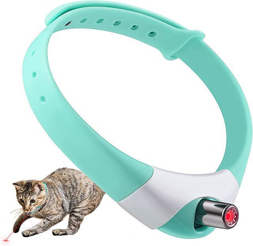 Laser pet Collar
