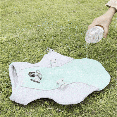Summer Cooling Vest