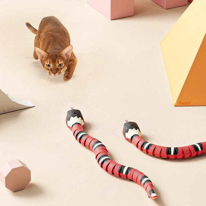 Interactive Snake pet Toy