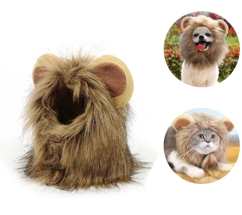 Cat Lion Mane