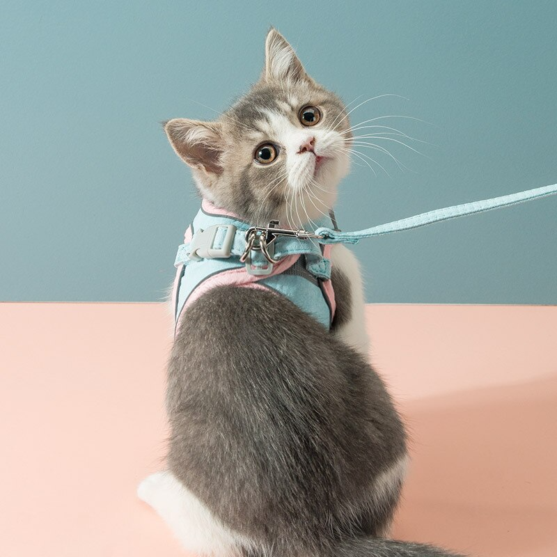 Cat Harness Leash Set