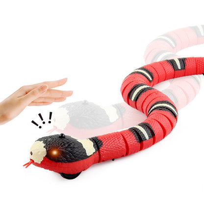 Interactive Snake pet Toy