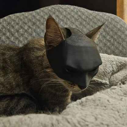 Cat Batman mask