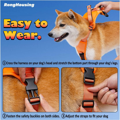 All in one: pet Harness and Automatic Retractable Leash Kit