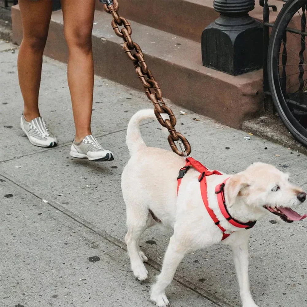 Lightweight Dog Leash