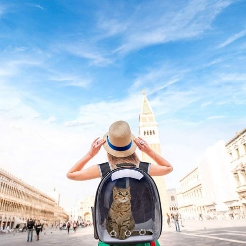 Pet Carrier Backpack