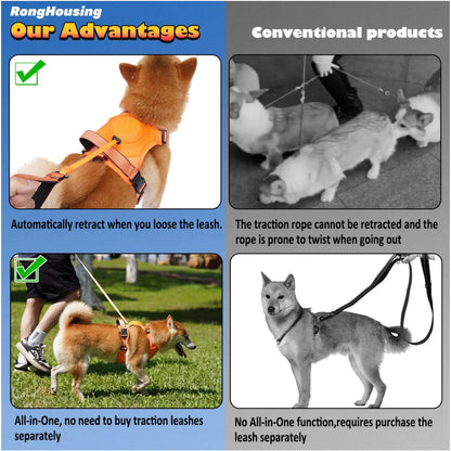 All in one: pet Harness and Automatic Retractable Leash Kit