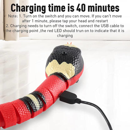 Interactive Snake pet Toy