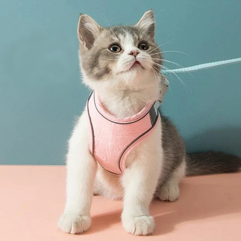 Cat Harness Leash Set