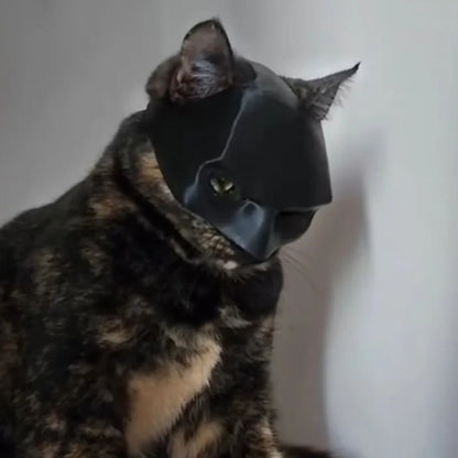 Cat Batman mask