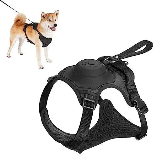 All in one: pet Harness and Automatic Retractable Leash Kit