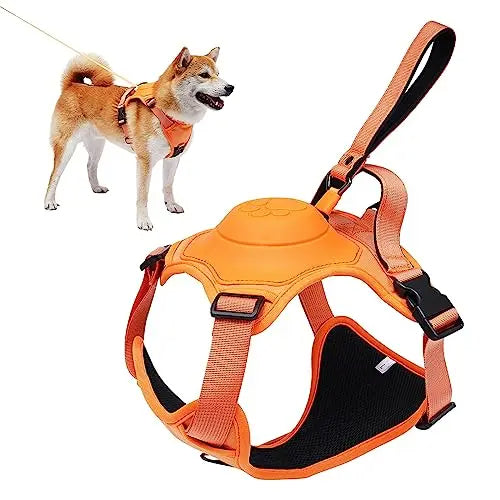 All in one: pet Harness and Automatic Retractable Leash Kit