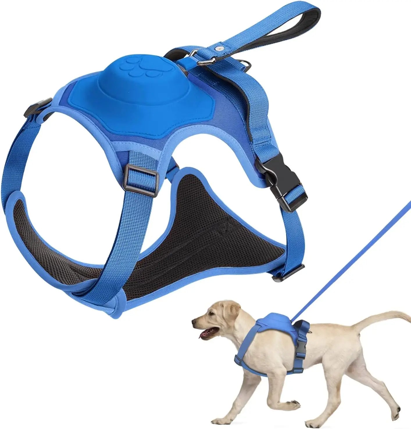 All in one: pet Harness and Automatic Retractable Leash Kit